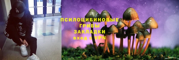 2c-b Михайловка