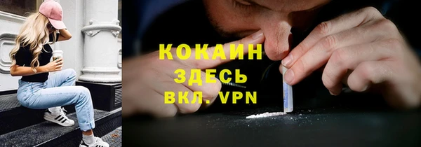сатива Михайлов