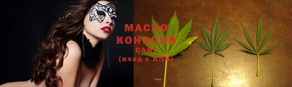 сатива Михайлов