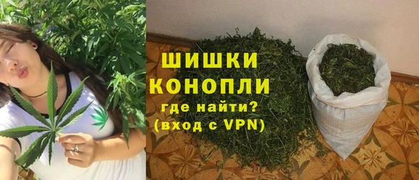 сатива Михайлов