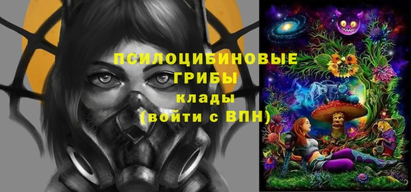 2c-b Михайловка