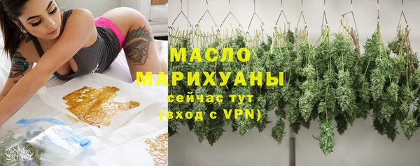 сатива Михайлов