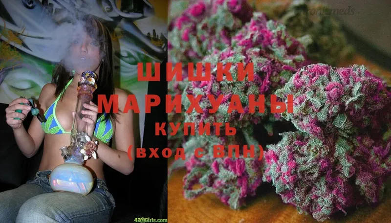 купить   Купино  МАРИХУАНА SATIVA & INDICA 